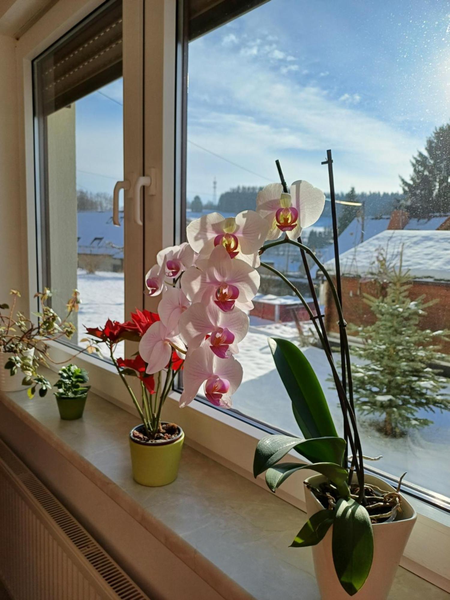 Thueringer Zimmer Зуль Экстерьер фото